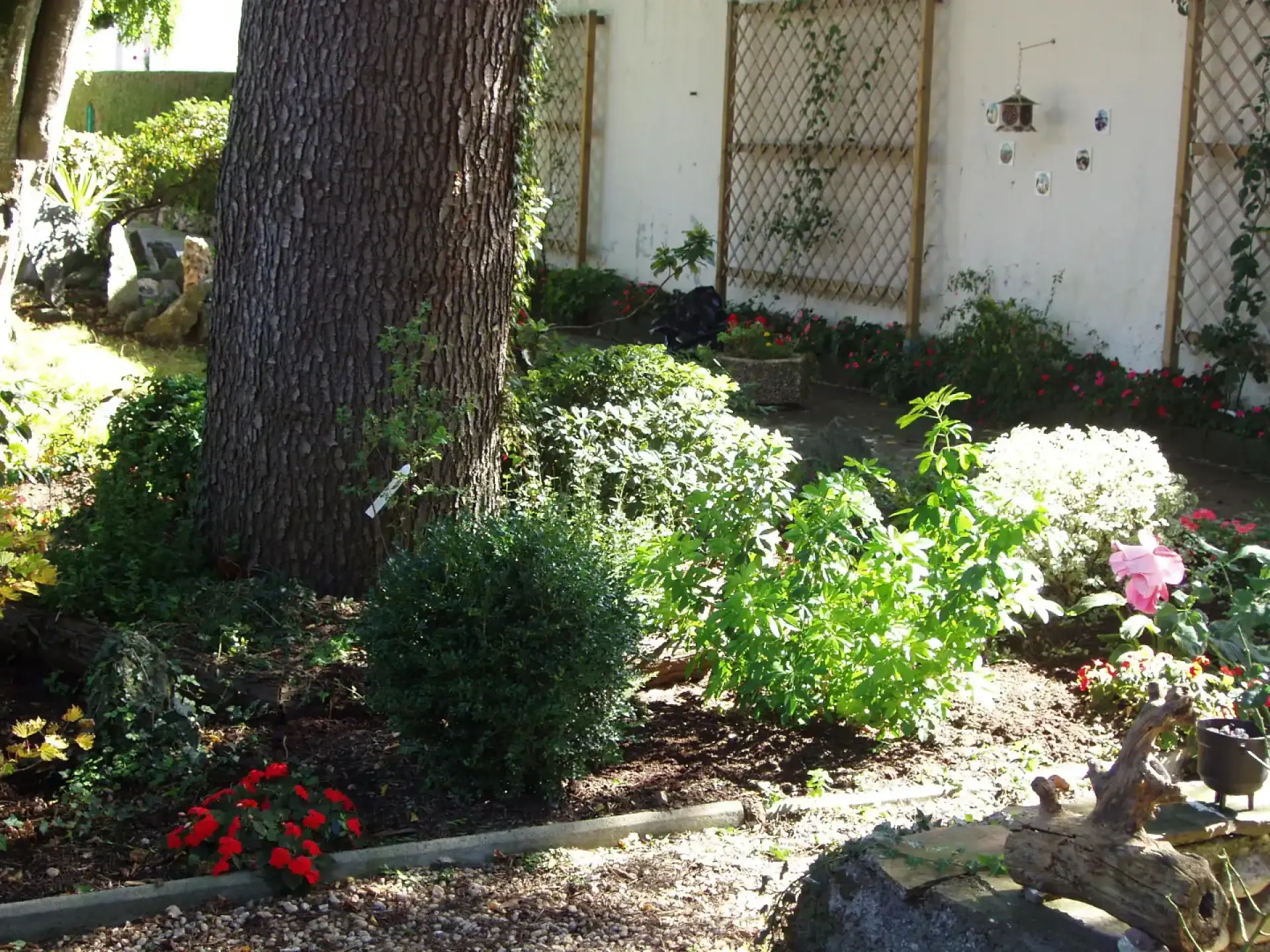 Jardin arboré avec un massif fleuri, des arbustes et des treillages contre une façade claire.