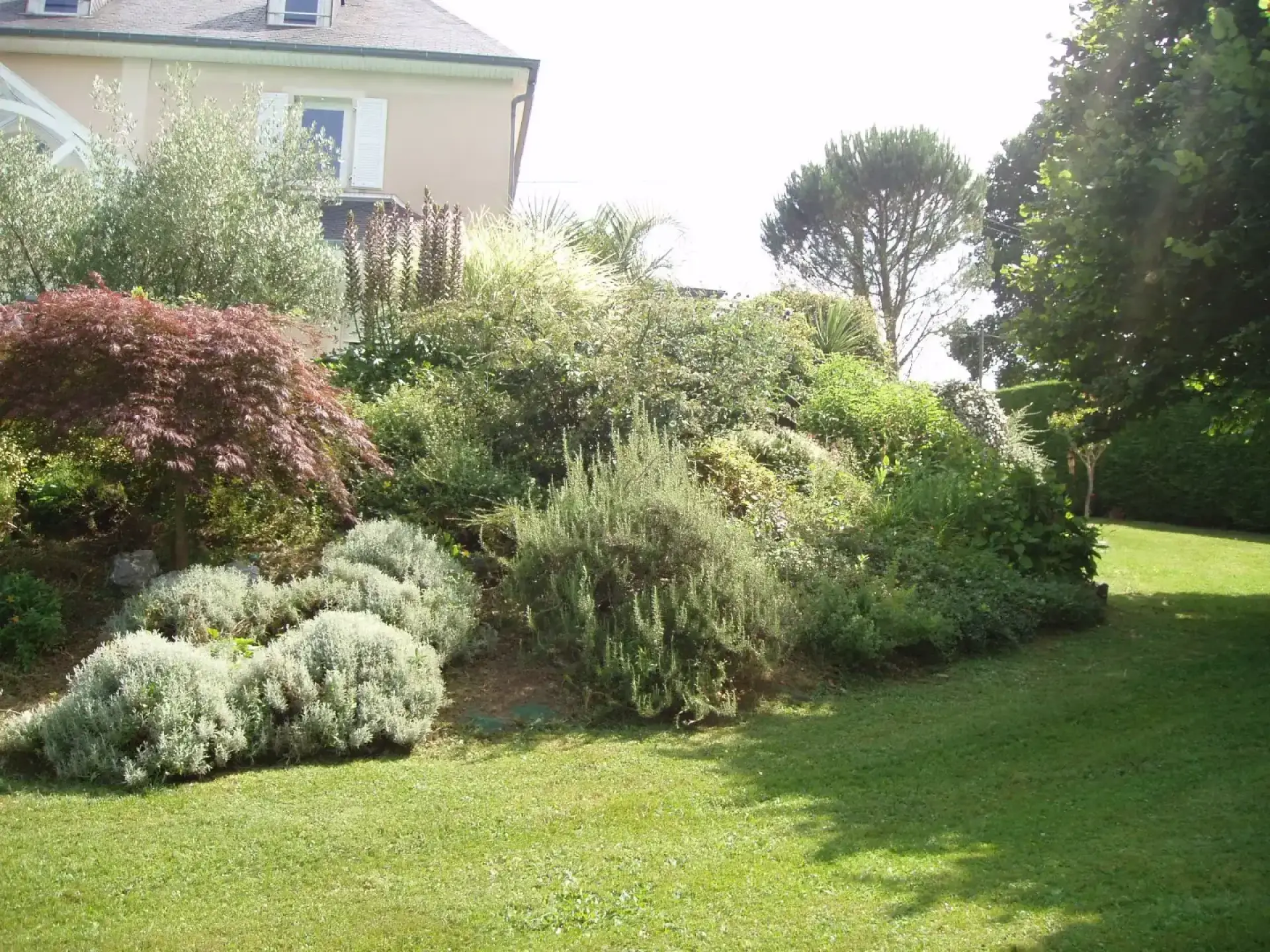 Jardin paysager avec massifs, arbustes et pelouse devant une maison
