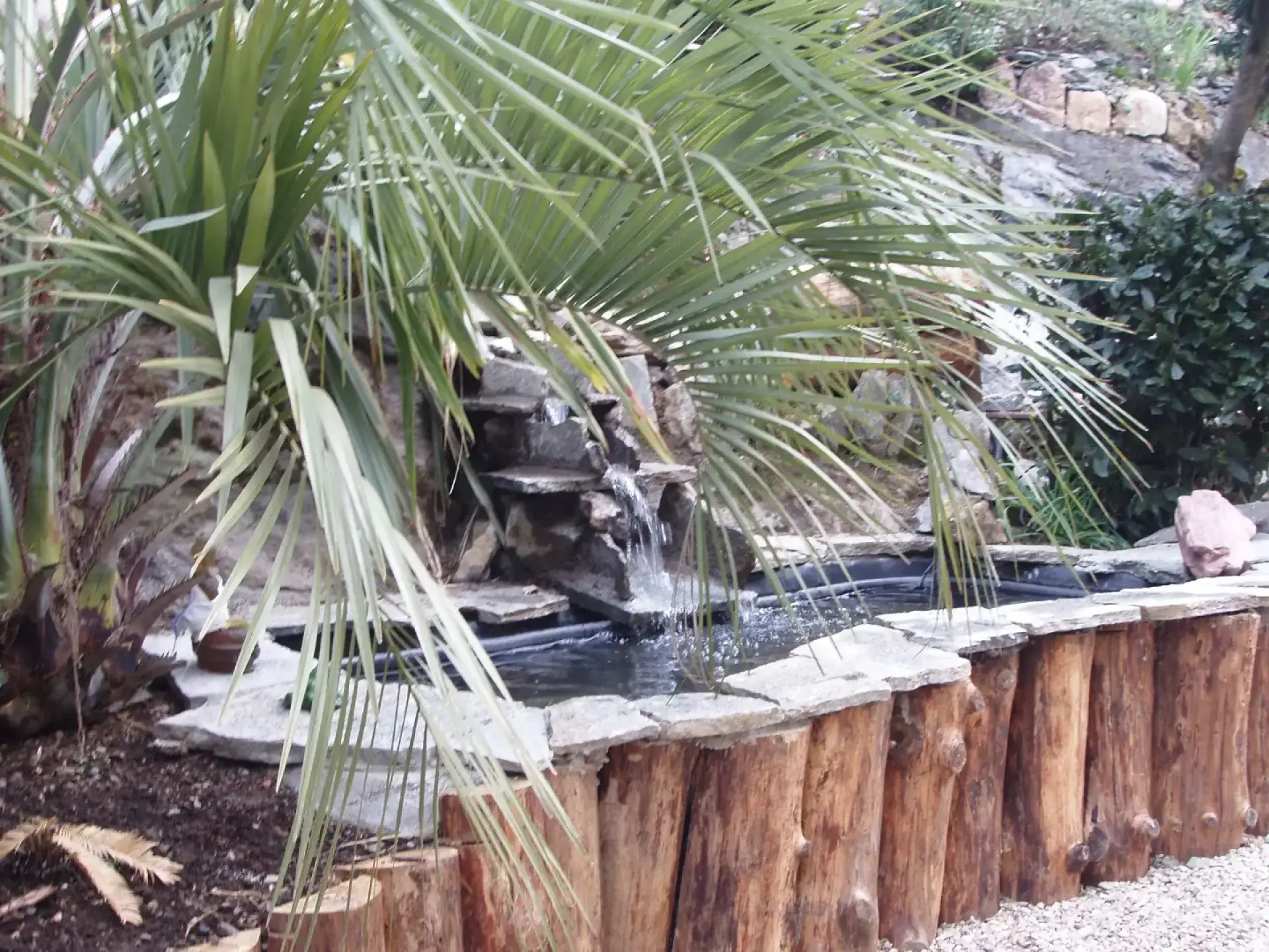 Bassin de jardin avec cascade en pierres entouré de palmiers