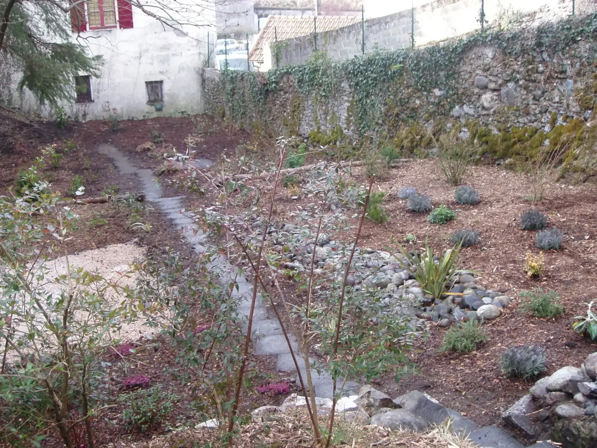 Jardin planté avec paillage, cheminement sombre et rigole de galets