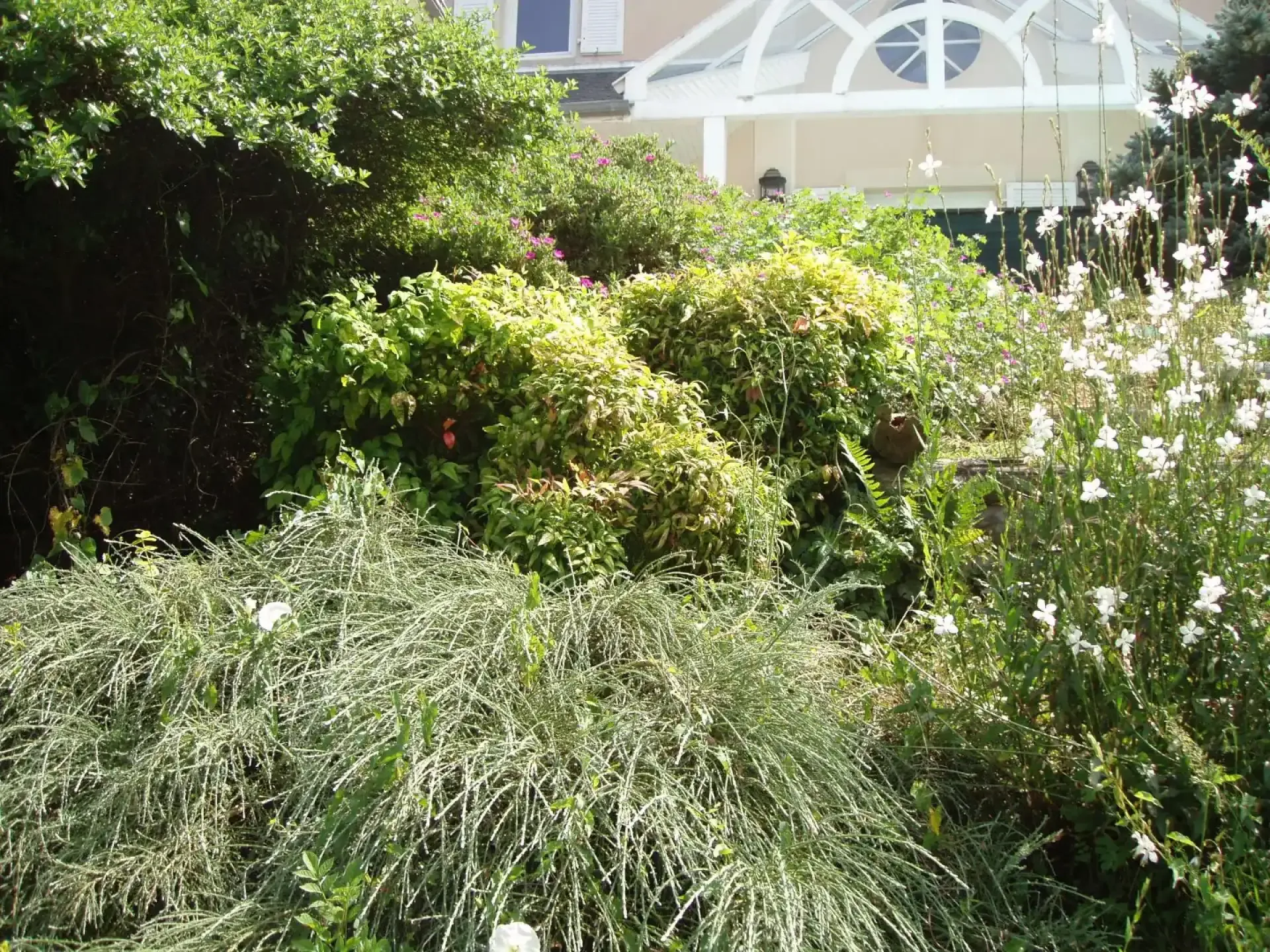 Massif fleuri aux feuillages variés devant une maison
