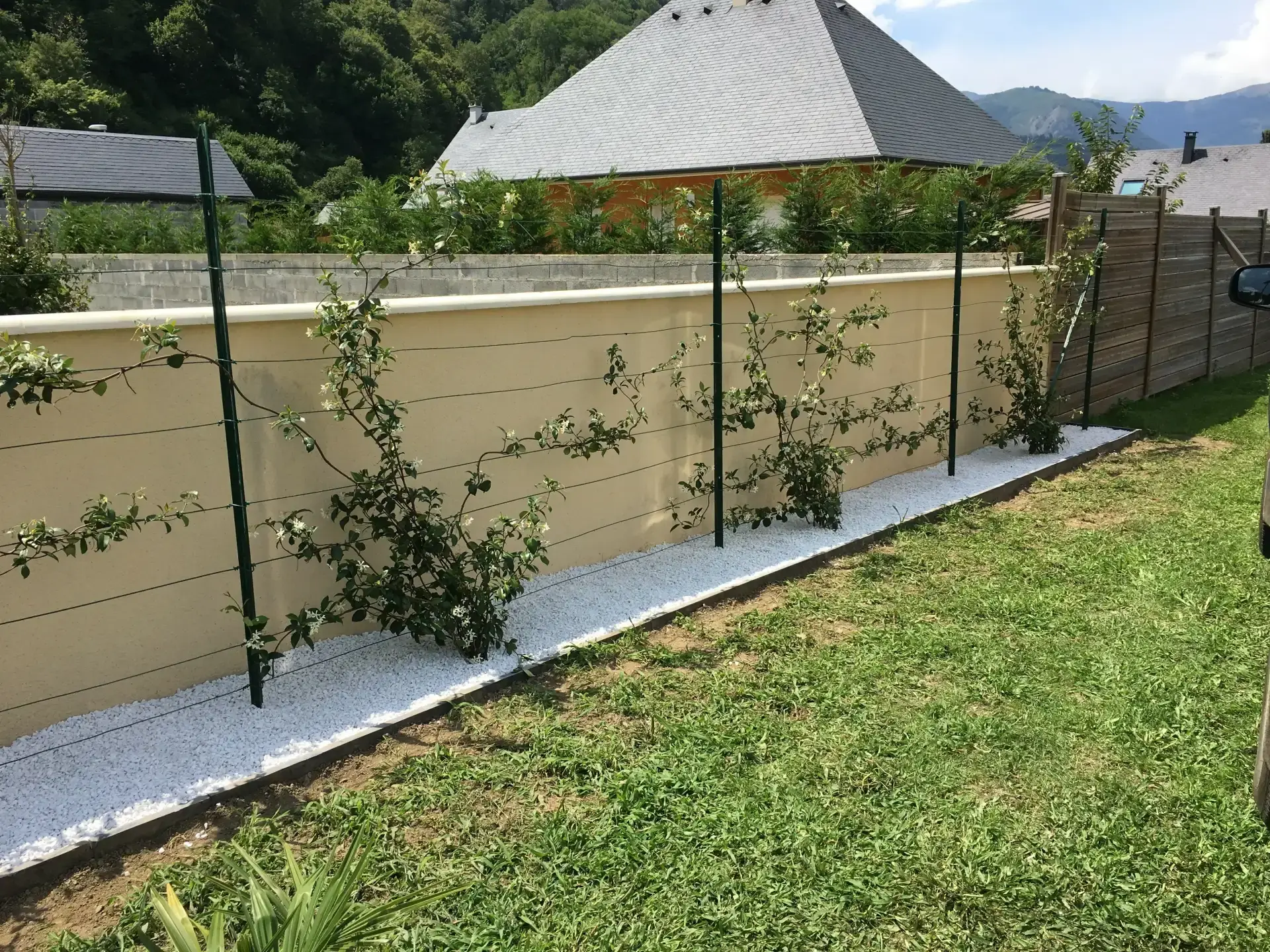 Clôture végétalisée le long d’un muret et d’une bande de gravier blanc