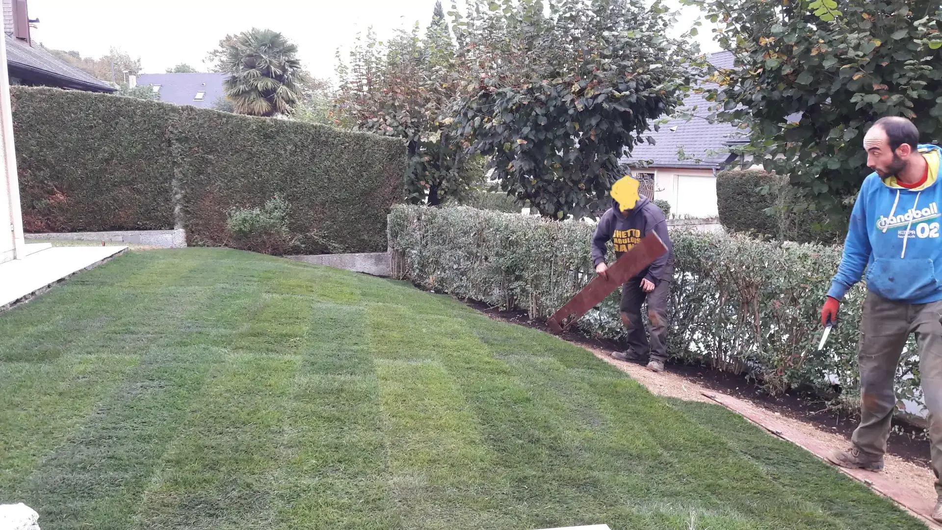 Deux paysagistes posent des rouleaux de gazon dans un jardin bordé de haies